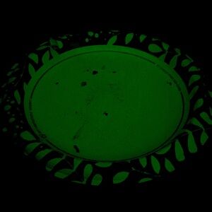 A paper plate I ate a burrito on